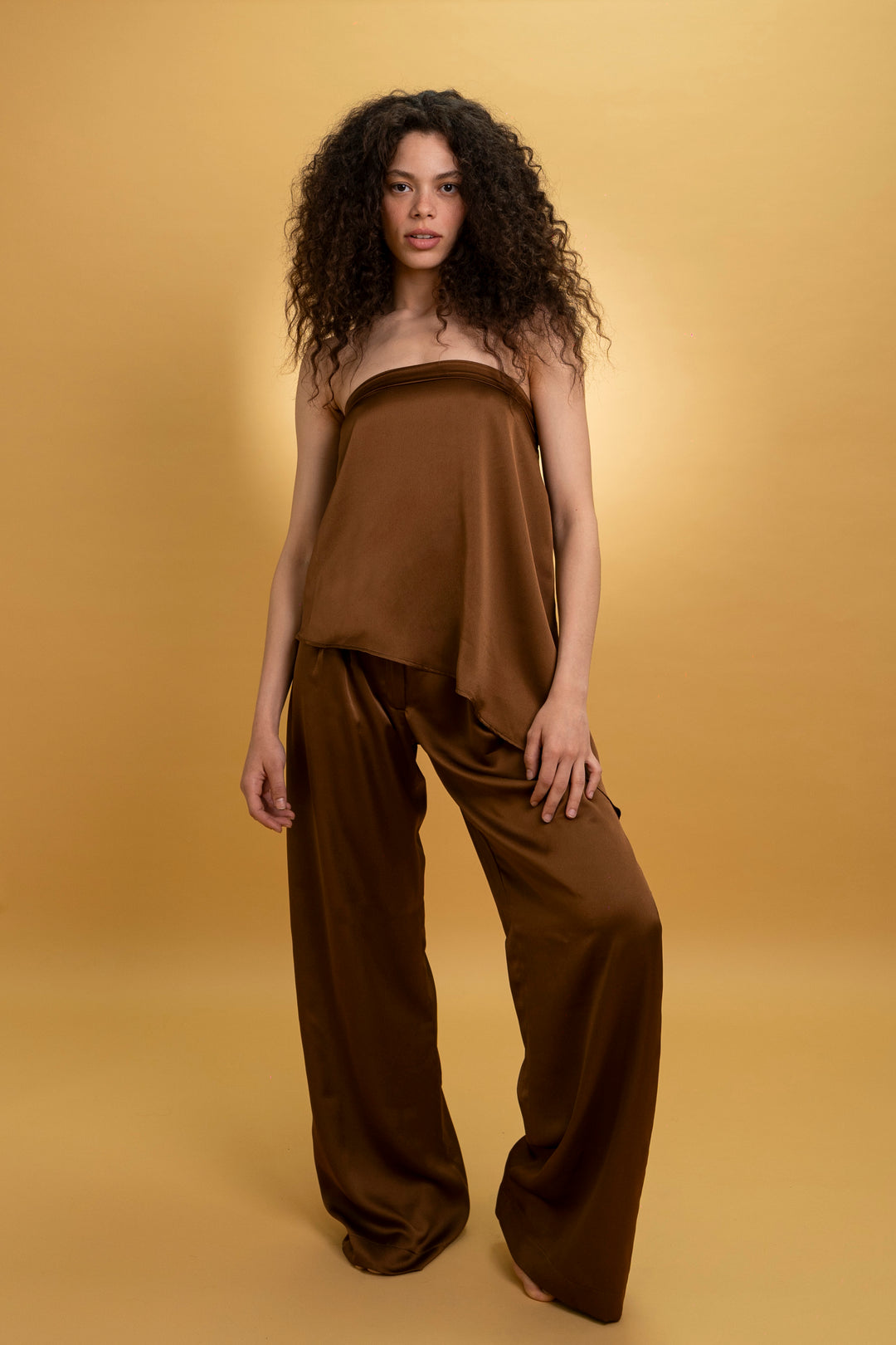 Pantalon fluide satiné marron